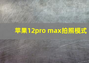 苹果12pro max拍照模式